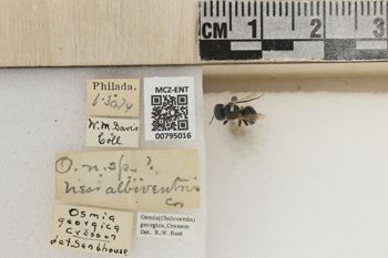 Media type: image;   Entomology 795016 Aspect: Labels